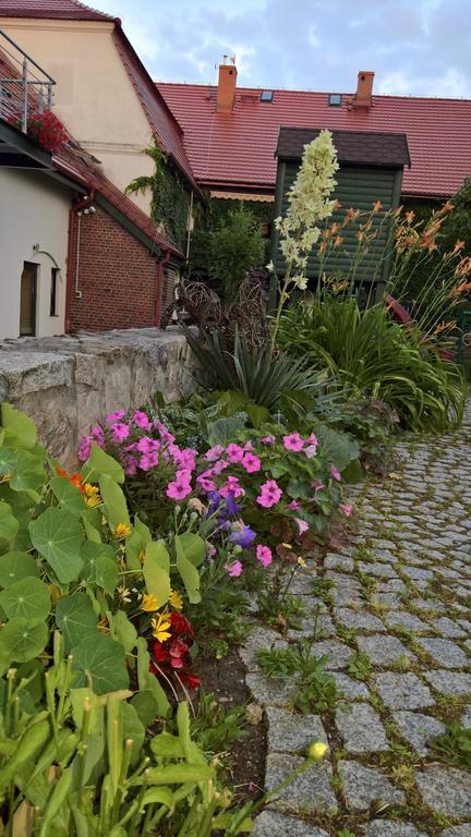 Katarzynka Apartamento Boleścin Exterior foto