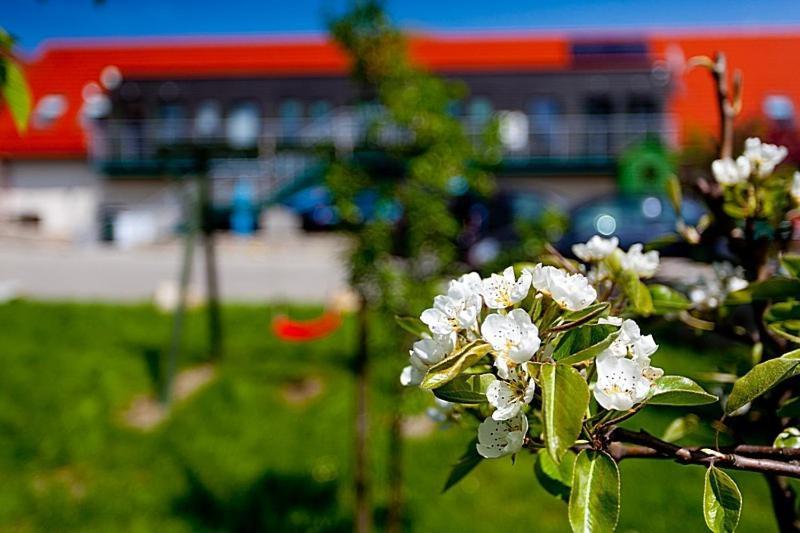 Katarzynka Apartamento Boleścin Exterior foto